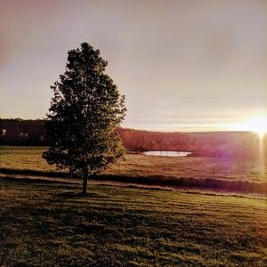 Meet your Posher, Sam